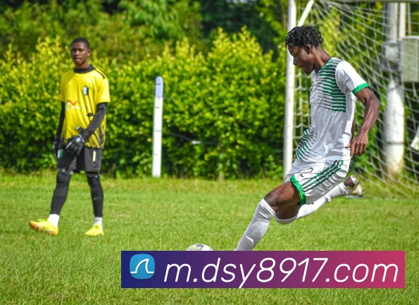 App Interface Preview