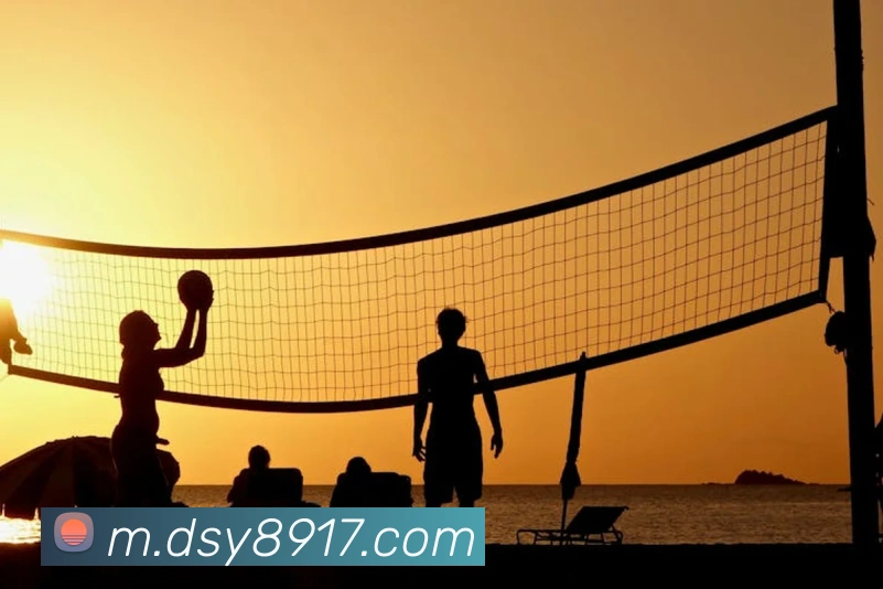 大三元官网平台登录APP 封面图